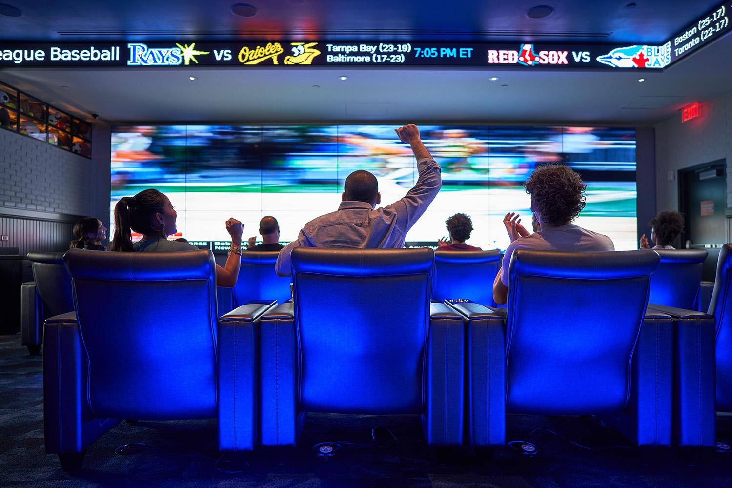People cheering their team in a theater watching sports