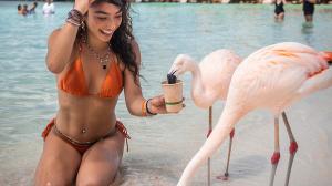 Woman in bikini at the beach feeding flamingos