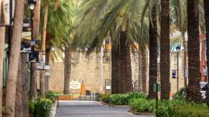 A palm tree lined path leads to Rif Fort & Renaissance Mall