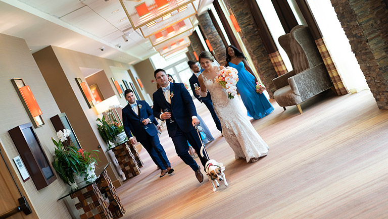 wedding party with their dog
