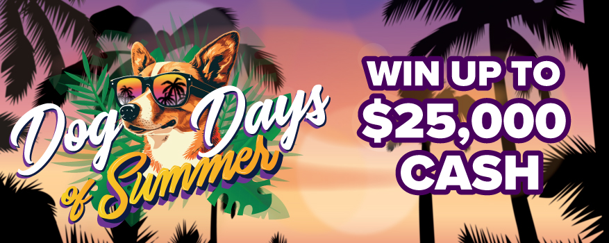 Featured image for the DOG DAYS OF SUMMER promotional event