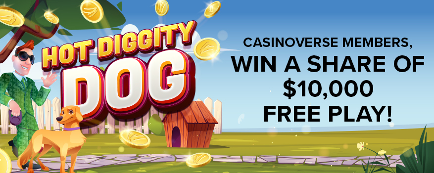 Featured image for the HOT DIGGITY DOG promotional event