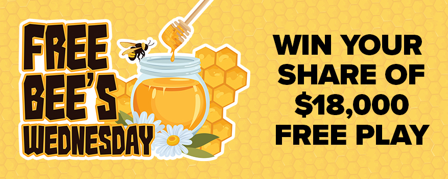 FREE BEE'S WEDNESDAY