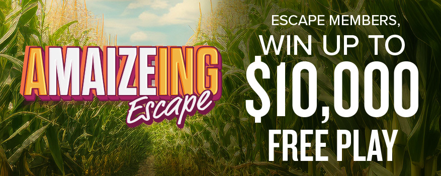 A 'MAIZE' ING ESCAPE