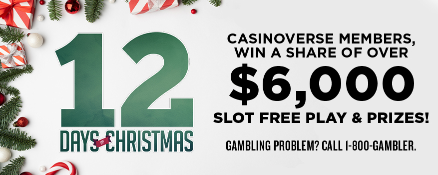 12 DAYS OF CHRISTMAS DRAWINGS