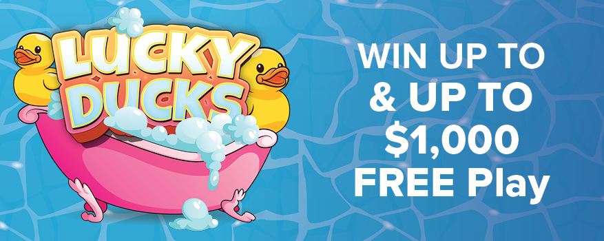 Featured image for the LUCKY DUCKS promotional event