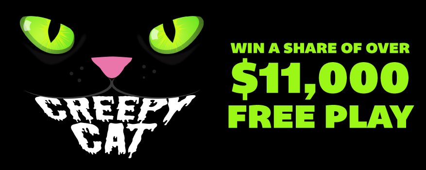 Featured image for the CREEPY CAT promotional event