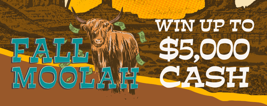Featured image for the FALL MOOLAH promotional event