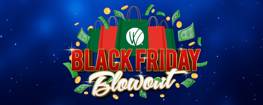 Featured image for the BLACK FRIDAY BLOWOUT promotional event
