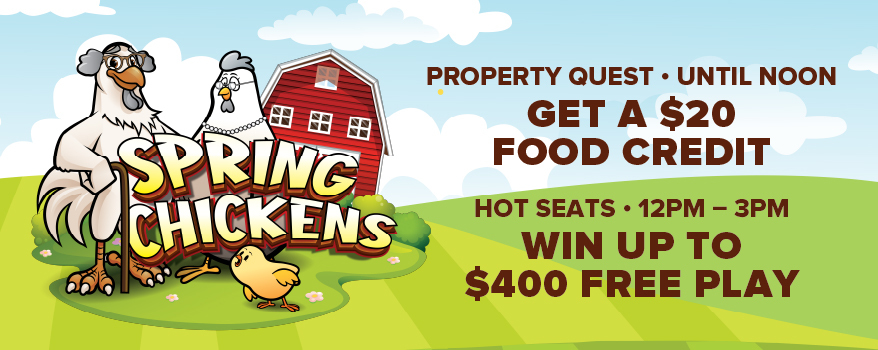 Featured image for the SPRING CHICKENS  promotional event