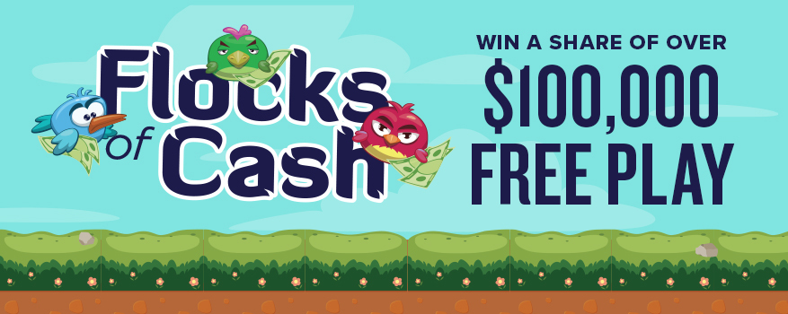 Featured image for the FLOCKS OF CASH promotional event