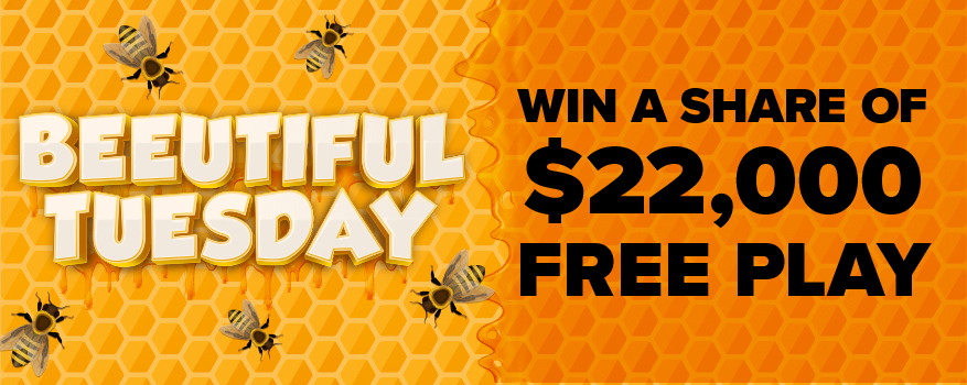 Featured image for the BEEUTIFUL TUESDAY promotional event