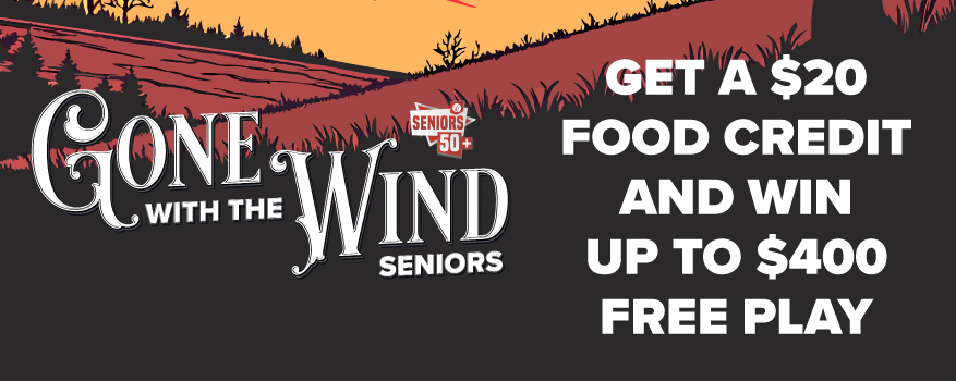 Featured image for the GONE WITH THE WIND SENIORS promotional event