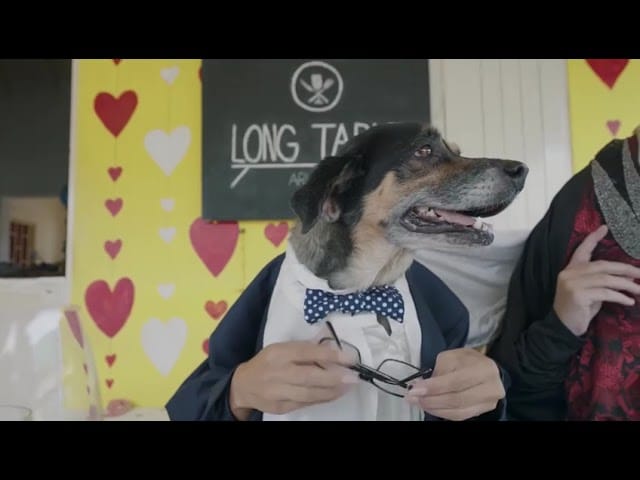 Video still of a dog in a bow tie and suit jacket, hands reach around him to put on glasses